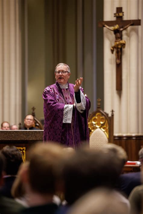 bishop robert barron|bishop robert barron homily today.